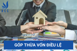 Góp thừa vốn điều lệ