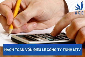 Hạch toán vốn điều lệ công ty TNHH MTV