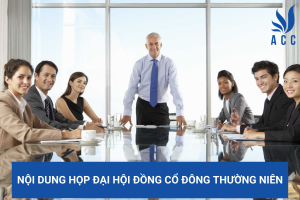 Nội dung họp đại hội đồng cổ đông thường niên