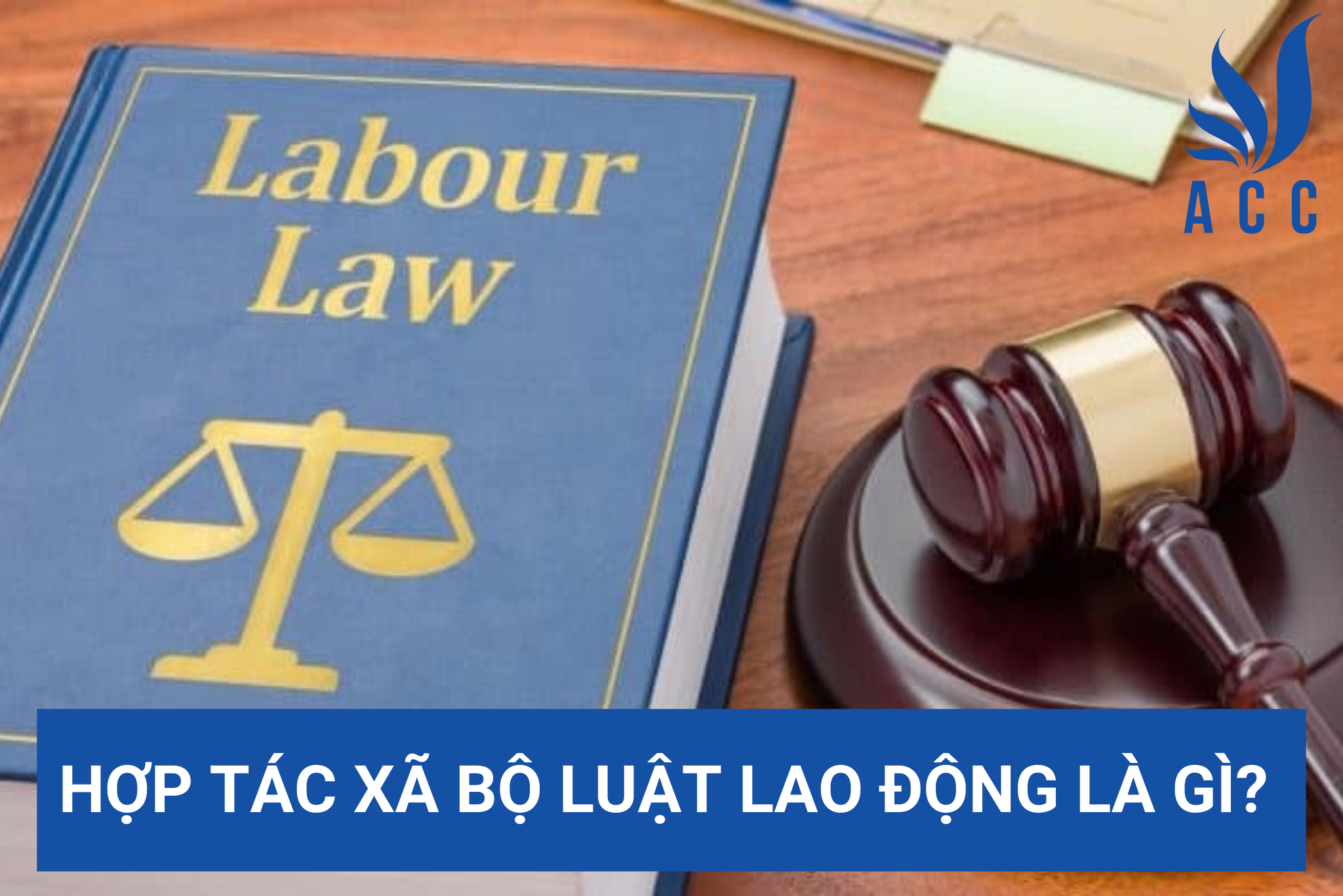 Hợp tác xã bộ luật lao động là gì? (Cập nhật mới nhất)