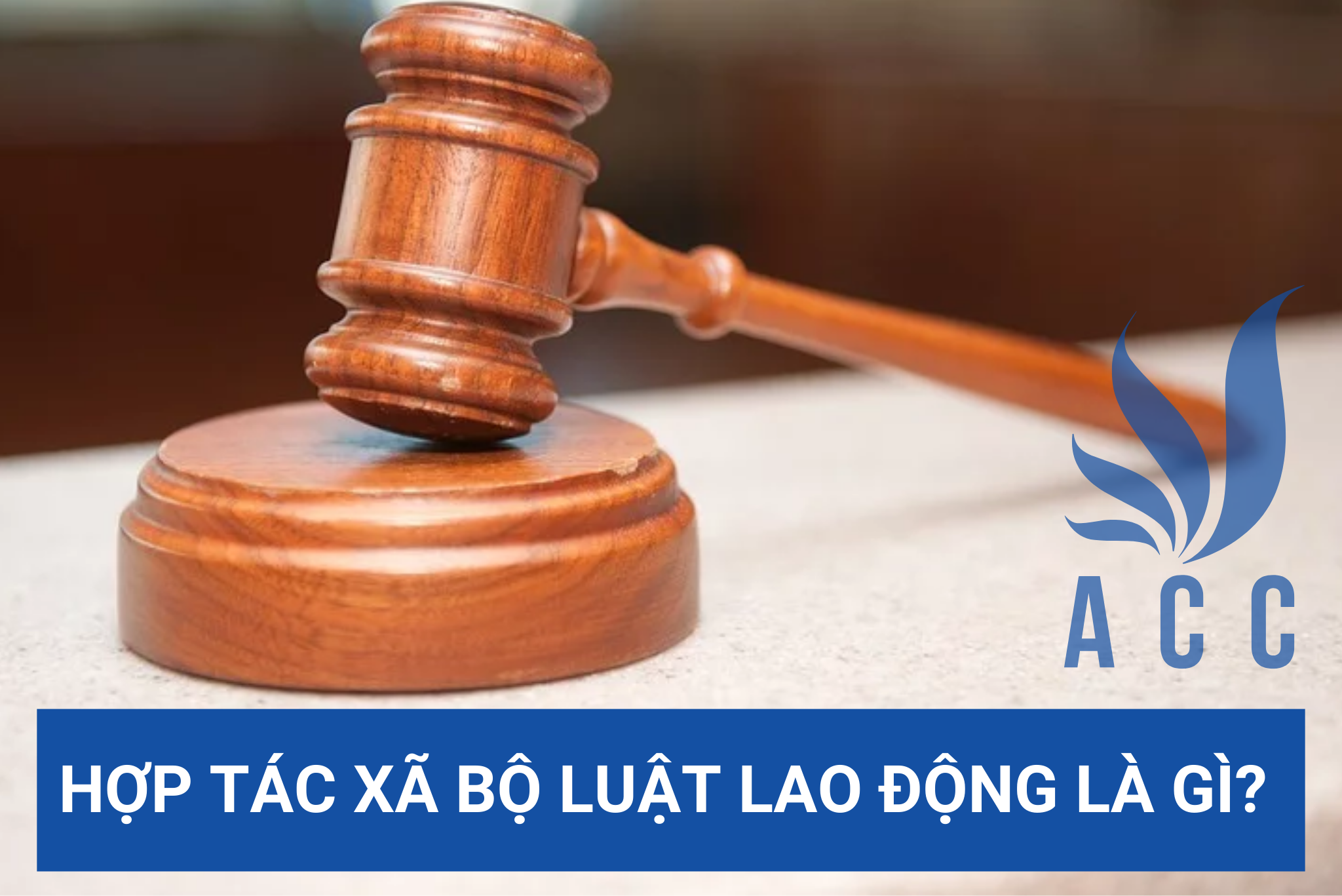 Hợp tác xã bộ luật lao động là gì? (Cập nhật mới nhất)