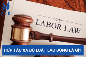 Hợp tác xã bộ luật lao động là gì? (Cập nhật mới nhất)