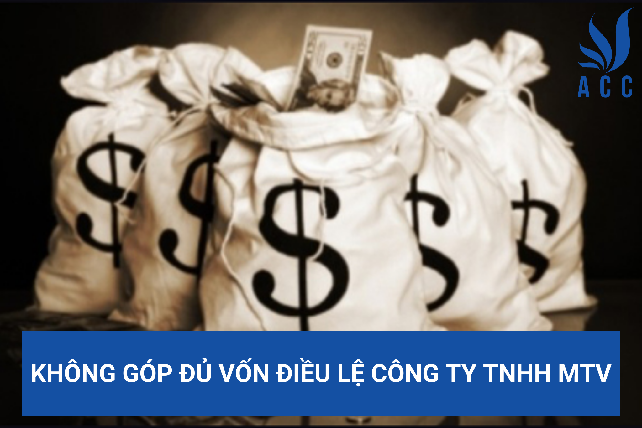 Không góp đủ vốn điều lệ công ty TNHH MTV