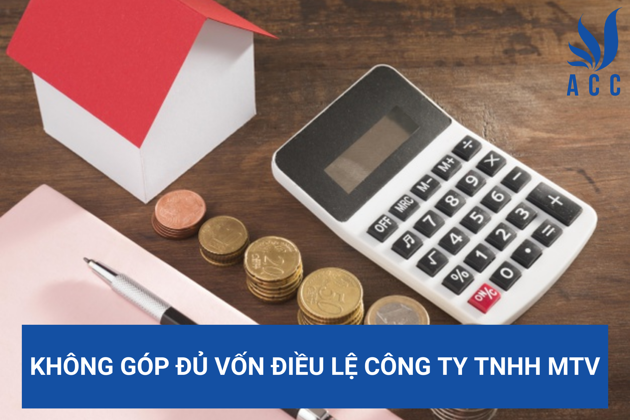 Không góp đủ vốn điều lệ công ty TNHH MTV