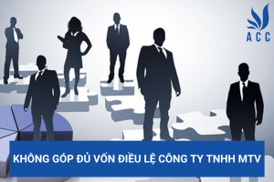 Không góp đủ vốn điều lệ công ty TNHH MTV
