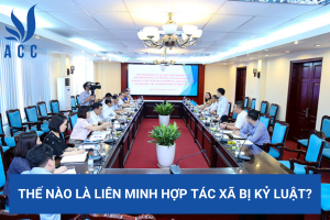 Thế nào là liên minh hợp tác xã bị kỷ luật?