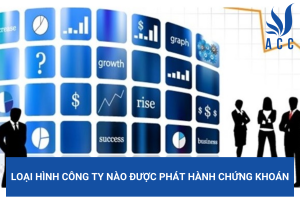 Loại hình công ty nào được phát hành chứng khoán?