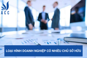Loại hình doanh nghiệp có nhiều chủ sở hữu