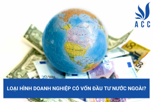 Loại hình doanh nghiệp có vốn đầu tư nước ngoài?