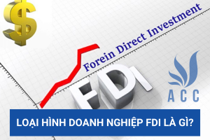 Loại hình doanh nghiệp FDI là gì?