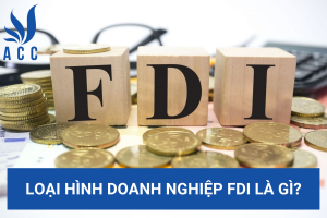 Loại hình doanh nghiệp FDI là gì?