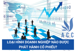 Loại hình doanh nghiệp nào được phát hành cổ phiếu?