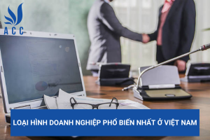 Loại hình doanh nghiệp phổ biến nhất ở Việt Nam