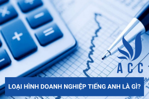 Loại hình doanh nghiệp tiếng Anh là gì?