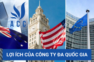 Lợi ích của công ty đa quốc gia