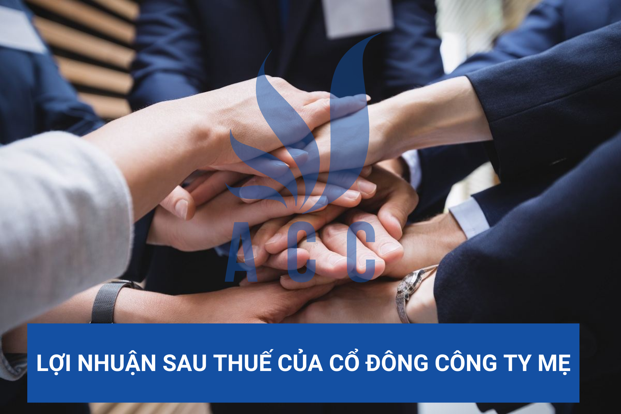 Lợi nhuận sau thuế của cổ đông công ty mẹ