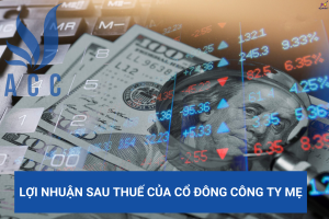 Lợi nhuận sau thuế của cổ đông công ty mẹ