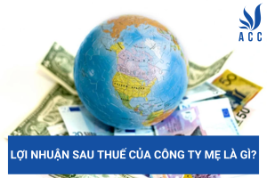 Lợi nhuận sau thuế của công ty mẹ là gì?