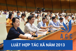 Luật hợp tác xã năm 2013