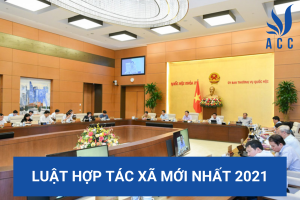 Luật hợp tác xã mới nhất 2021