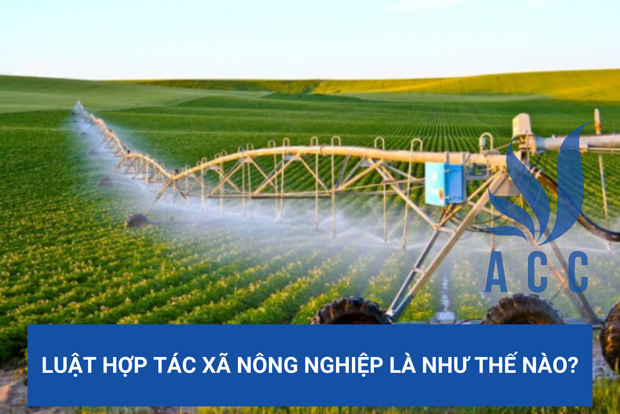 Luật hợp tác xã nông nghiệp là như thế nào?