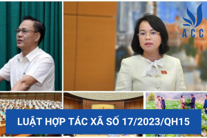 Luật hợp tác xã số 17/2023/qh15