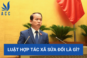 Luật hợp tác xã sửa đổi là gì?