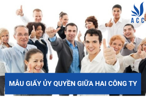 Mẫu giấy ủy quyền giữa hai công ty