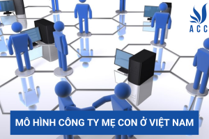Mô hình công ty mẹ con ở Việt Nam