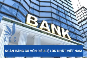 Ngân hàng có vốn điều lệ lớn nhất Việt Nam