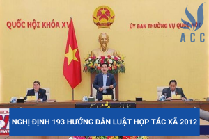 Nghị định 193 hướng dẫn Luật Hợp tác xã 2012