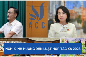 Nghị định hướng dẫn Luật hợp tác xã 2023