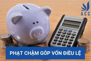 Phạt chậm góp vốn điều lệ