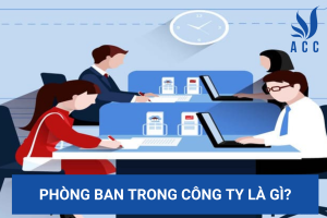 Phòng ban trong công ty là gì?