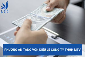 Phương án tăng vốn điều lệ công ty TNHH MTV