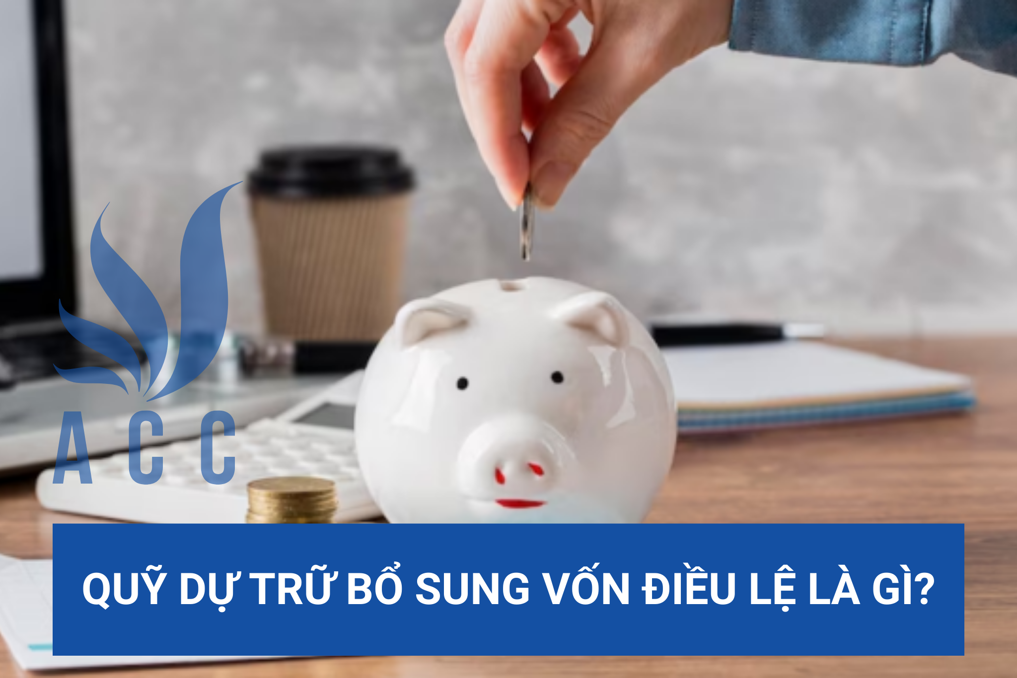 Quỹ dự trữ bổ sung vốn điều lệ là gì?