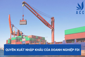 Quyền xuất nhập khẩu của doanh nghiệp FDI