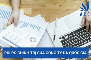Rủi ro chính trị của công ty đa quốc gia