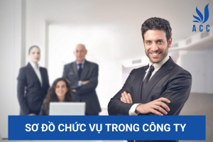 Sơ đồ chức vụ trong công ty