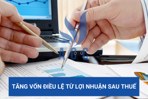 Tăng vốn điều lệ từ lợi nhuận sau thuế