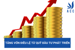 Tăng vốn điều lệ từ quỹ đầu tư phát triển