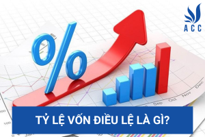 Tỷ lệ vốn điều lệ là gì?