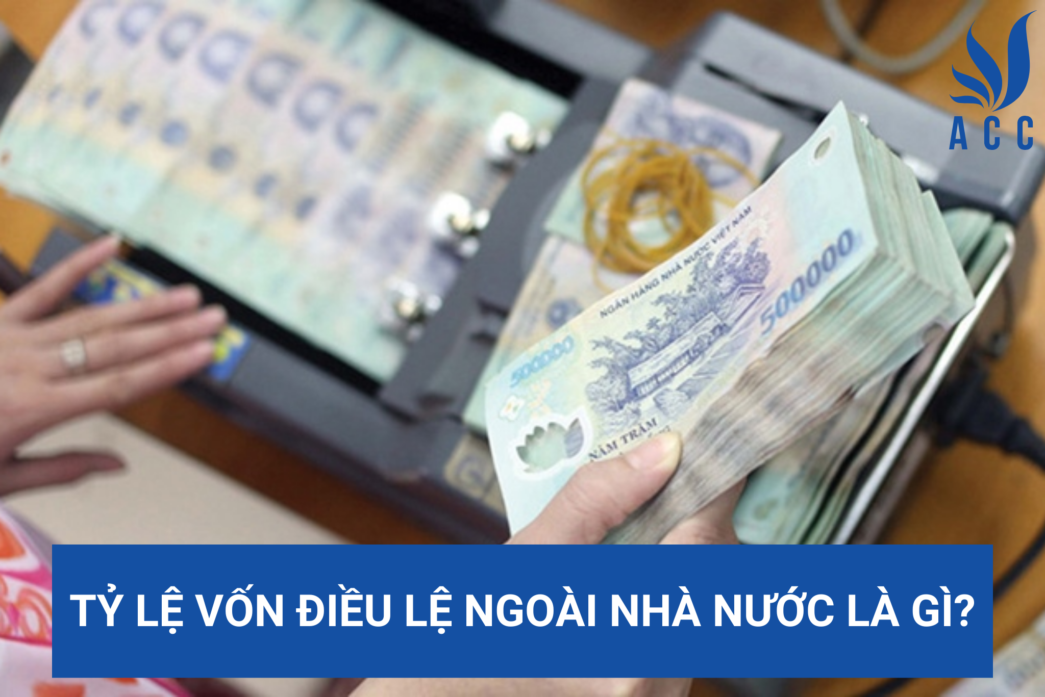 Tỷ lệ vốn điều lệ ngoài nhà nước là gì?
