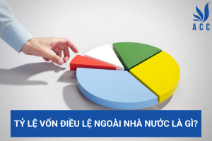 Tỷ lệ vốn điều lệ ngoài nhà nước là gì?