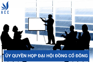 Ủy quyền họp đại hội đồng cổ đông