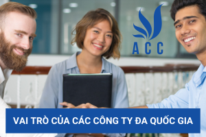 Vai trò của các công ty đa quốc gia