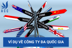 Ví dụ về công ty đa quốc gia