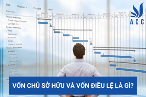 Vốn chủ sở hữu và vốn điều lệ là gì?
