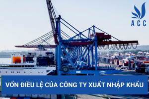 Vốn điều lệ của công ty xuất nhập khẩu