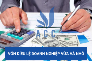 Vốn điều lệ doanh nghiệp vừa và nhỏ